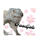 イグ♪︎（個別スタンプ：24）