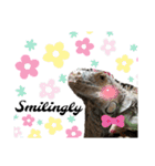 イグ♪︎（個別スタンプ：40）