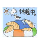 茶々丸ときどきとんかつ 夏 Ver.（個別スタンプ：4）