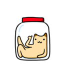 ねこ (Maomao) - 2（個別スタンプ：3）