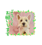HappyBathPep3（個別スタンプ：1）