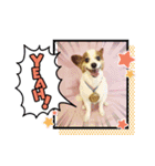 HappyBathPep3（個別スタンプ：2）