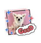 HappyBathPep3（個別スタンプ：3）