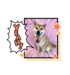 HappyBathPep3（個別スタンプ：5）