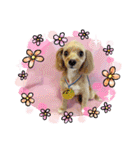 HappyBathPep3（個別スタンプ：6）