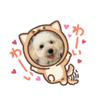 HappyBathPep3（個別スタンプ：9）