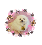 HappyBathPep3（個別スタンプ：11）