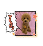 HappyBathPep3（個別スタンプ：13）