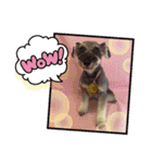 HappyBathPep3（個別スタンプ：14）
