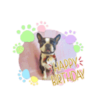 HappyBathPep3（個別スタンプ：16）