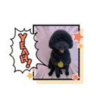 HappyBathPep3（個別スタンプ：17）