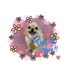 HappyBathPep3（個別スタンプ：20）