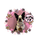 HappyBathPep3（個別スタンプ：21）