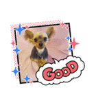 HappyBathPep3（個別スタンプ：23）