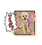HappyBathPep3（個別スタンプ：24）