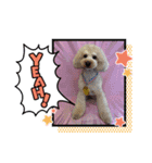 HappyBathPep3（個別スタンプ：27）