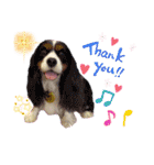 HappyBathPep3（個別スタンプ：29）