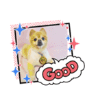 HappyBathPep3（個別スタンプ：30）