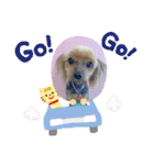 HappyBathPep3（個別スタンプ：31）