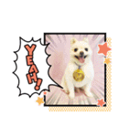 HappyBathPep3（個別スタンプ：33）