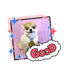 HappyBathPep3（個別スタンプ：34）
