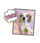 HappyBathPep3（個別スタンプ：35）