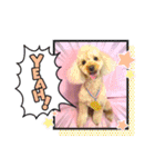 HappyBathPep3（個別スタンプ：36）