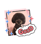 HappyBathPep3（個別スタンプ：38）