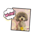 HappyBathPep3（個別スタンプ：39）