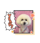 HappyBathPep3（個別スタンプ：40）