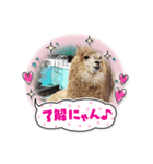 ウィンパーにささぐ（個別スタンプ：5）