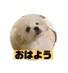 そらそら・わたしのスタンプ（個別スタンプ：2）