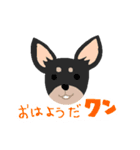 可愛いチワワのココスタンプ（個別スタンプ：1）