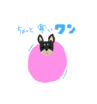 可愛いチワワのココスタンプ（個別スタンプ：5）