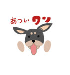 可愛いチワワのココスタンプ（個別スタンプ：6）