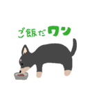 可愛いチワワのココスタンプ（個別スタンプ：7）