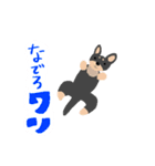 可愛いチワワのココスタンプ（個別スタンプ：10）