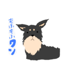 可愛いチワワのココスタンプ（個別スタンプ：16）