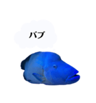 ナッポナポにしてやんよ（個別スタンプ：16）