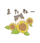 はむねこさーん 〜夏〜（個別スタンプ：24）