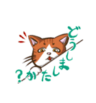 色んな柄の敬語猫ちゃん（個別スタンプ：20）