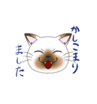 色んな柄の敬語猫ちゃん（個別スタンプ：31）