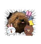 はらたらたはまら（個別スタンプ：8）