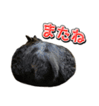 三毛猫・キジ白猫の日常スタンプ（個別スタンプ：32）