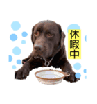 こたろう＆あおと（異母兄弟）（個別スタンプ：5）