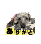 ふーたスタンプ1（個別スタンプ：12）