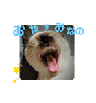 凛ちゃんなの②仲間もいるなの（個別スタンプ：6）