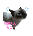 凛ちゃんなの②仲間もいるなの（個別スタンプ：7）