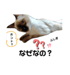 凛ちゃんなの②仲間もいるなの（個別スタンプ：8）
