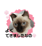 凛ちゃんなの②仲間もいるなの（個別スタンプ：10）